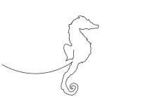 Seahorse One-Line Drawing: A Unique Marine Animal for Shape Exploration