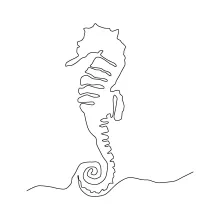 One-Line Capelin Drawing: Easy Arctic Fish Art to Build Drawing Focus