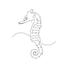 Seahorse One-Line Drawing: Practice Curved Body Shapes in Underwater Art