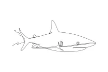 Sea Shark One-Line Drawing: Learn to Draw Simple Ocean Creatures Easily