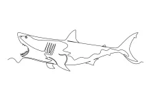 Sea Shark One-Line Drawing: Discover Ocean Shapes Through Simple Lines