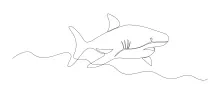 One-Line Shark Drawing: Develop Line Confidence with a Classic Predator