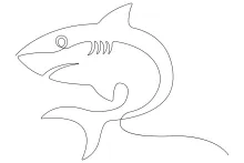 One-Line Shark Drawing: Explore Ocean Creatures Using Minimal Lines