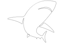 Simple One-Line Shark Drawing: Practice Bold Shapes with Minimal Effort