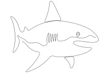 Shark Drawing with One Line: Learn Marine Shapes with a Basic Art Task