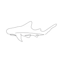 Shark One-Line Drawing: A Simple Way to Draw Marine Predators