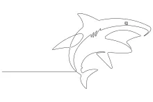 One-Line Shark Drawing: Build Focus with Simple Marine Animal Shapes