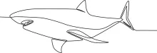 One-Line Shark Drawing: Practice Simple Predator Shapes with Easy Ocean Outlines
