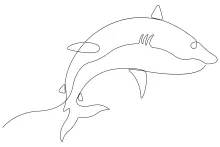 Shark One-Line Art: Practice Strong Angles and Curves in One Sketch