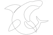 One-Line Sketch of a Shark: Great for Practicing Large Animal Forms