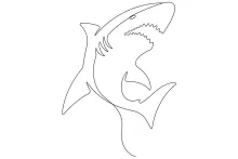 One-Line Drawing of a Shark: Explore Bold Sea Creatures with Simple Art