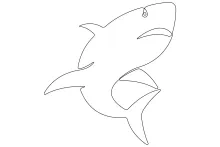 Shark One-Line Art: A Clear Way to Learn Animal Shapes