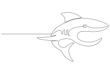 Shark One-Line Drawing: Practice Bold Animal Shapes in a Fun Sketch