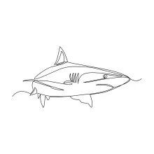 Shark One-Line Drawing: Explore Ocean Predator Forms with Simple Shapes