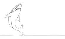 Shark One-Line Drawing: Draw Strong Marine Forms with a Simple Technique