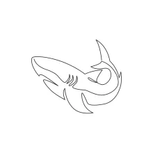 Simple Shark Drawing in One Line: Learn Strong Curves and a Recognizable Animal Shape