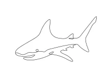 Easy Shark One-Line Drawing: A Fun Way to Sketch Sea Creatures
