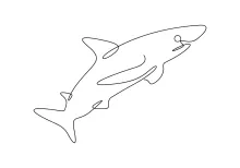 One-Line Drawing of a Shark: Boost Shape Memory with Marine Predator Art