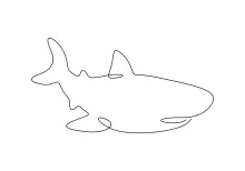 Shark Fish One-Line Drawing: A Bold Sea Animal to Practice Basic Shapes