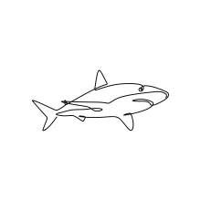 One-Line Shark Fish Drawing: Learn Bold Shapes and Strong Animal Forms