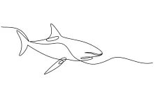 Shark One-Line Drawing: Practice Bold, Powerful Lines with a Predatory Fish