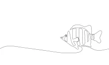 Tropical fish One-Line Drawing: Create Appealing Sea Shapes with Simple Lines