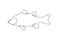 Simple White Bass Drawing: Easy One-Line Practice for Shape Recognition