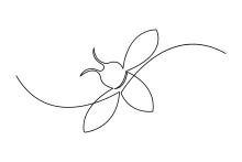Abstract Bee One Line Drawing: Explore Creative Shapes in Insect Art