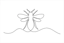 One Line Drawing of a Honey Bee: Fun Practice for Young Artists