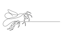 Simple Honey Bee in One Line: Easy Insect Drawing for All Ages