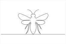 One Line Flying Bee: Learn Motion and Balance with Insect Drawing