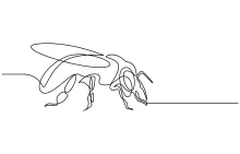 Honey Bee in Motion: Practice Dynamic Drawing with One Line