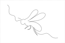 Draw a Bee with One Line: Easy Practice for Young and New Artists