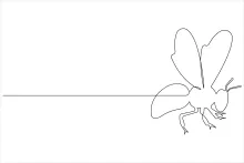 Artistic One Line Drawing of a Honey Bee: Nature Study Through Art