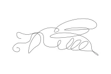 "One Line Cute Bee Drawing: Expressing a Charming Pollinator with Minimalist Art"