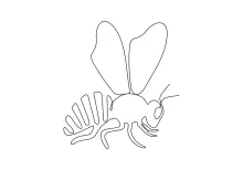 "One Line Honey Bee Art: Expressing Motion and Structure with Minimalist Style"