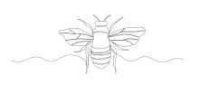 "Minimalist Bee Sketch: Capturing Flight and Energy in One Line Art"