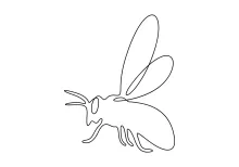 "Continuous Line Honey Bee Illustration: Depicting Structure and Motion with One Line Art"