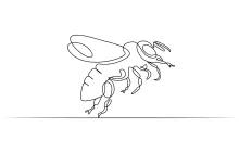 "Minimalist Bee Insect Drawing: Capturing Motion and Detail with One Line Art"