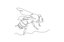 Bee Drawing in One Line: Learn Flow and Form Through Nature