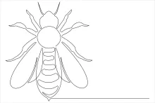 One Line Drawing of a Honey Bee: Buzzing with Creativity