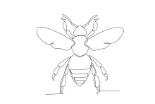 Bee in Motion: Simple One Line Drawing for Beginners