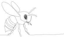 Resting Bee in One Line: Practice Nature Art with Insects
