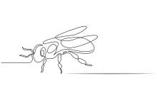 Smiling Honey Bee One Line Drawing: A Cheerful Art Session
