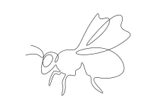 "Continuous Line Honey Bee Art: Capturing Nature's Pollinator with Minimalist Style"