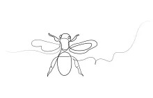 "Minimalist Honey Bee Sketch: Illustrating Elegance and Precision in One Line Art"