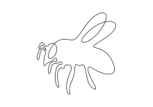 "One Line Honey Bee Sketch: Expressing Elegance and Movement with Minimalist Techniques"