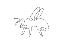 "Minimalist Honey Bee Drawing: Illustrating a Pollinator’s Motion with One Line Techniques"