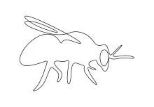 "One Line Honey Bee Illustration: Expressing Nature’s Essential Pollinator with Minimalist Style"