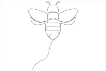 Learn One Line Drawing with a Honey Bee: A Simple Start for All Artists